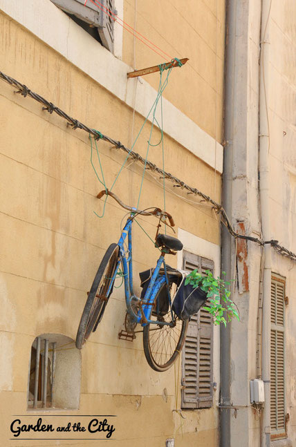 La bicyclette bleue avec une poche de lierre (herdera)