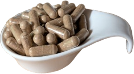 Camu Camu Pulver in Kapseln