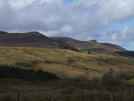 "John McGahern's stories of endurance and return (both human and natural) were drawn from Leitrim’s rushy hills, sodden with darkness and light."
