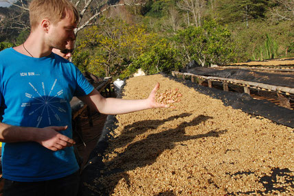 Joachim Kühne, Trainer and Sensory Assessor of Berlin School of Coffee (Photo credit: BSOC)