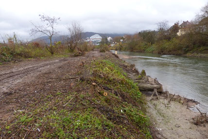 Rodungen in Wieblingen am Neckar
