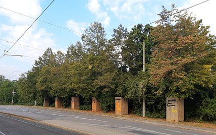 Gekennzeichnete Linden werden umgepflanzt.