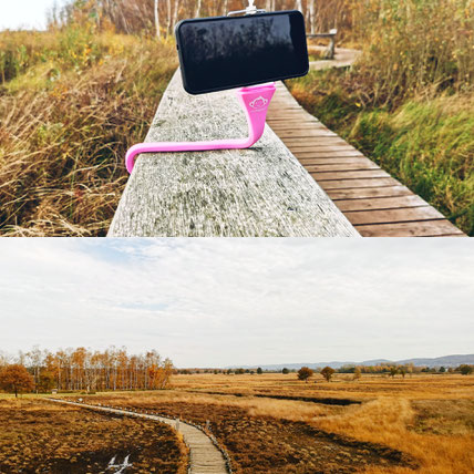 Moor, Hille, Hiller Moor, Oarken, Parkmöglichkeiten, Torfmoor Hille, Freizeitmöglichkeit, Wandern, Urlaub in Deutschland, NRW, Erlebnispfad, Monkeystick