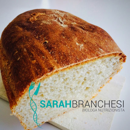 dieta dimagrire nutrizionista pesaro savignano
