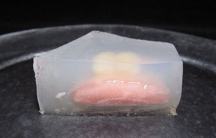 上生菓子図鑑