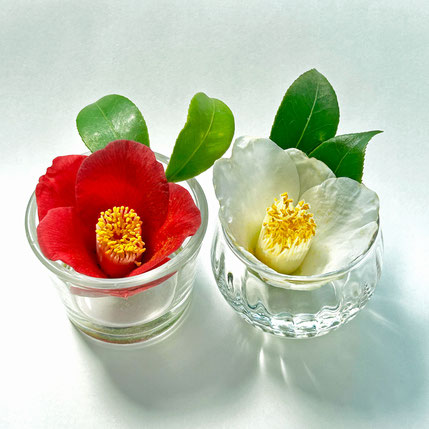 ショットグラスにいけられた紅白の椿の花