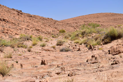 Habitat, région d'Aït-Mansour, Anti-Atlas sud-occidental, 2018, ©Frédérique Courtin 