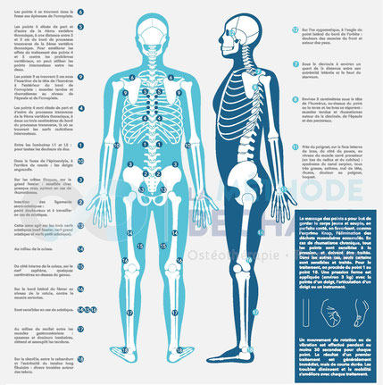 OSTEO