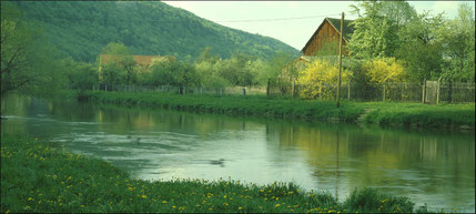 1987