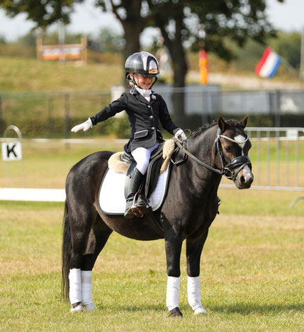 Oostdijk's Ceri Coldplay (Gadlys Jack Black x Vechtzicht's Cascade) - SOLD NL