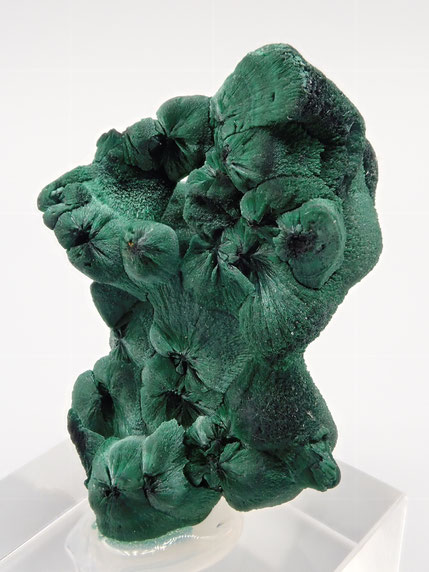 Botroidal Malachite