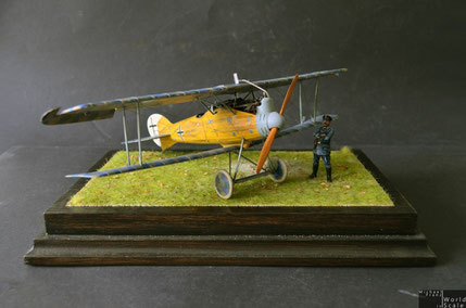 Roland D.VIa - 1/32 by Wingnut Wings