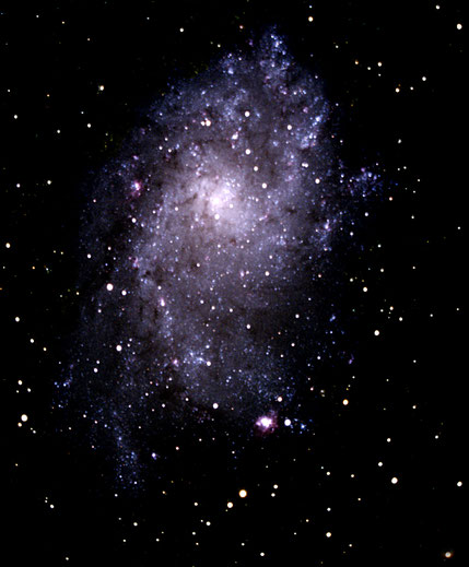 ngc598