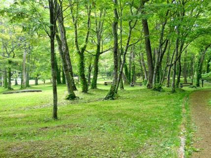 公園