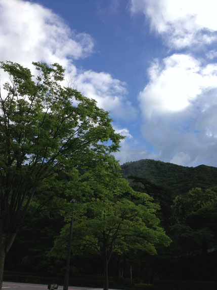 こんなにいい天気!