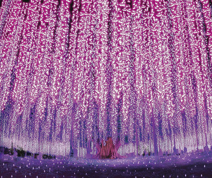 写真提供：あしかがフラワーパーク