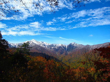 朝日連峰登山道上倉山からの大朝日岳