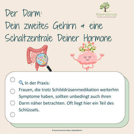 Der Darm: Dein zweites Gehirn & Schaltzentrale deiner Hormone