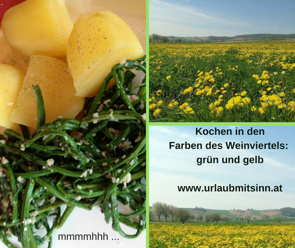 Kochen nach Farben der Natur: derzeit viel grün und gelb ...