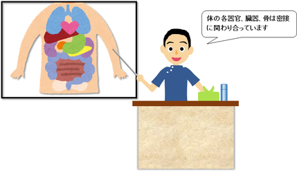 内臓人体図