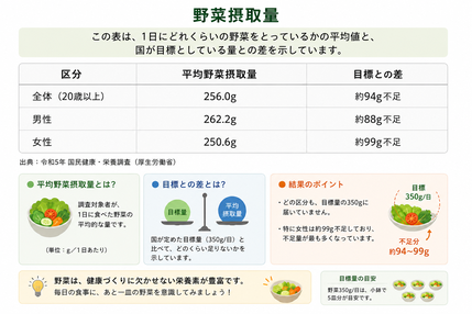 野菜摂取量の平均と国の目標との差を説明する画像