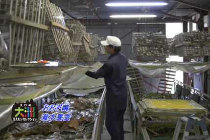 瀧本養蚕の作業場