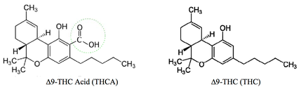 decarboxylation