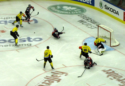 Eishockey Champions Hockey League
