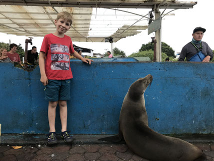 Reisen mit Kindern nach Galapagos