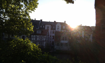Photo by M. Zosel 2015