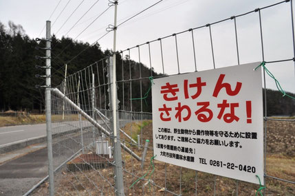 市内のあちこちに設置されている電気柵と看板