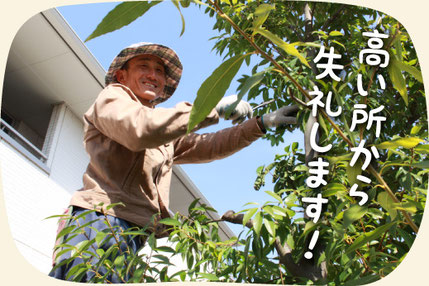 一般住宅の庭木の剪定・お手入れをする浜松市の植木屋・庭師 門西 豊（もんざい ゆたか）