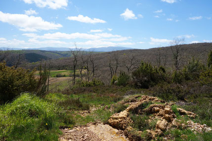 Montes de Oca