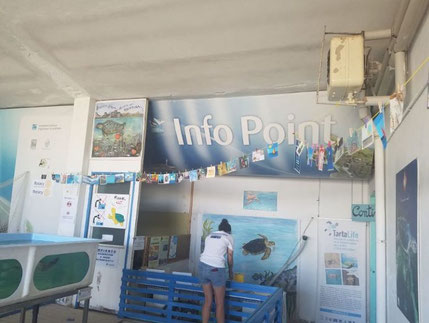 Fondazione Cetacea - Centro recupero tartarughe marine