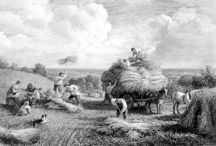 Farming in the 18th century in the West Riding of Yorkshire