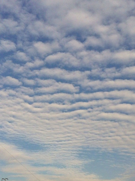 今日の空。