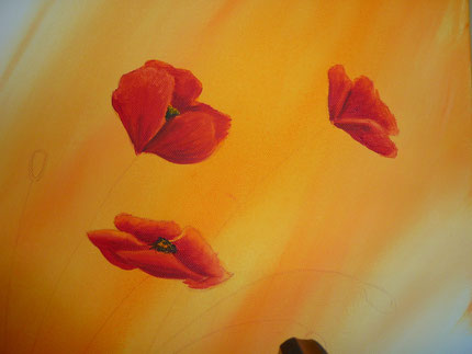 Mohn 1.3