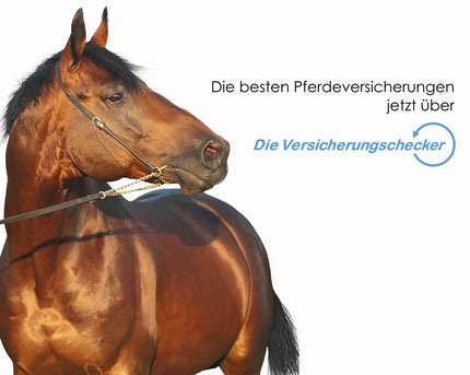 Pferdeversicherungen vom Experten: Pferde-OP-Versicherung, Pferdekrankenversicherung