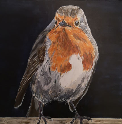 59. It"s me...Robin 30x30 cm acrylverf VERKOCHT