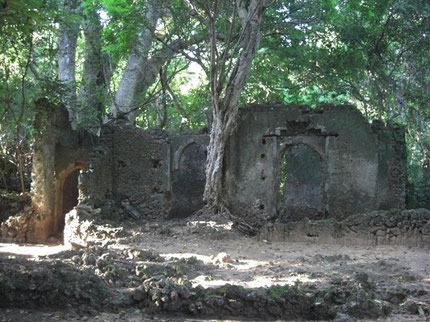 Remains of a House.
