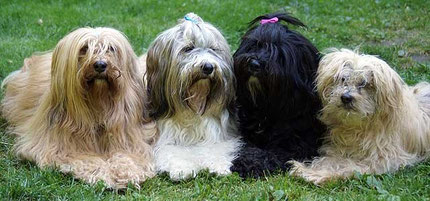 v.l.: Bya-ra (8), Milka (4), Kar-mi (6) und Indra (17 Jahre)