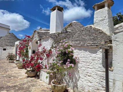 les Pouilles : Trulli fleuris d'Alberobello