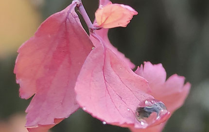 Barbara Burkhardt unterrichtet Yin Yoga in Zürich und Feldmeilen