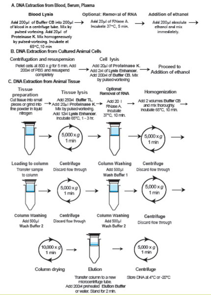 Tissue and Blood Combi DNA extraction Kit