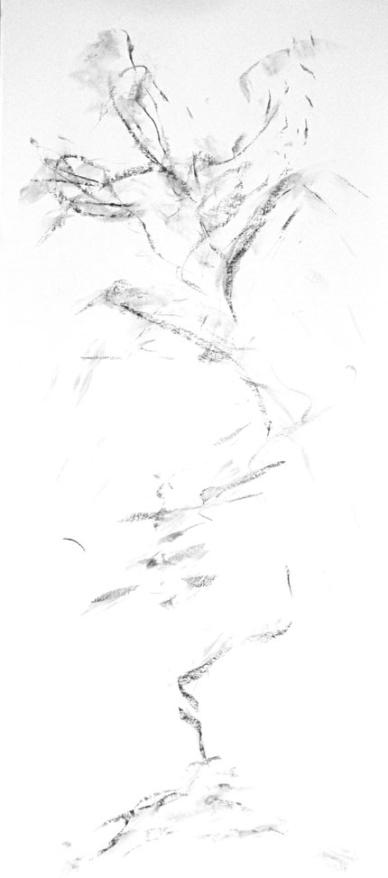 up in smoke, 2005, charcoal on paper, 53" X 20" 