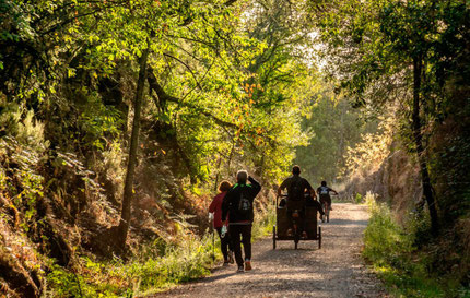 Hiking and Biking in The Ambroz Valley