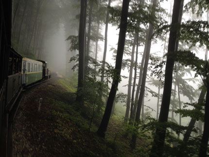 Tasty treats in MeForest train in Bükk Moutains