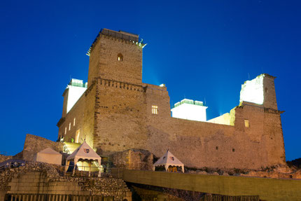 Castle of Diósgyőr