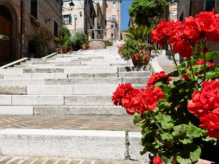 The steps of Corinaldo
