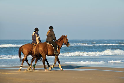 Carrowholly Stables & Trekking Centre Mulranny